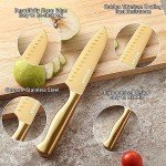 Gold Titanium Kitchen Knife Set with Sharpener