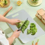 Titanium Cutting Board Set - 2 Pack Sizes