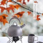 iBasingo 2L Titanium Whistling Tea Kettle