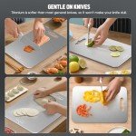 DETEIN Pure Titanium Double-Sided Cutting Board