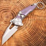 WANERSEN Titanium Quick-Open Tactical Knife, Gray