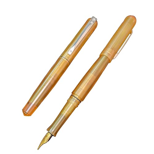 WANERSEN Amber Fountain Pen, Titanium Elegance Pen