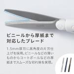 Reimeifujii SH1003 Titanium Coated Scissors