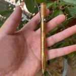 WANERSEN Ultem Amber Titanium Fountain Pen