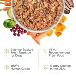 JustFoodForDogs Complete Meal or Topper, Venison & Squash