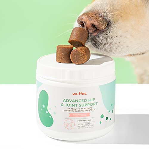 Large Breed Dog Hip & Joint Chewable Supplement