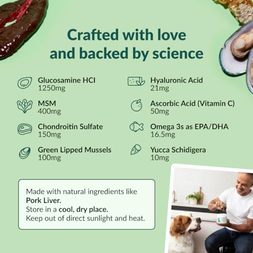 Large Breed Dog Hip & Joint Chewable Supplement