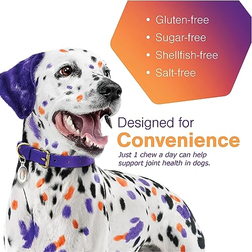 MOVOFLEX Hip & Joint Support Chews for Medium Dogs