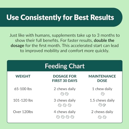 Large Breed Dog Hip & Joint Chewable Supplement