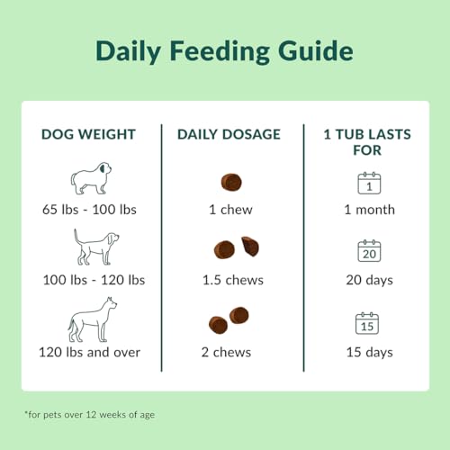 Large Breed Dog Hip & Joint Chewable Supplement