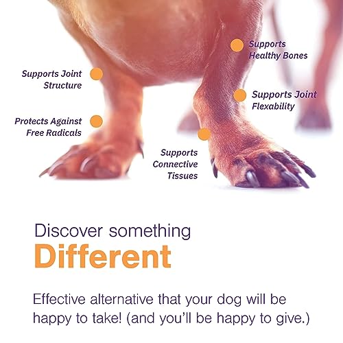 MOVOFLEX Hip & Joint Support Chews for Medium Dogs