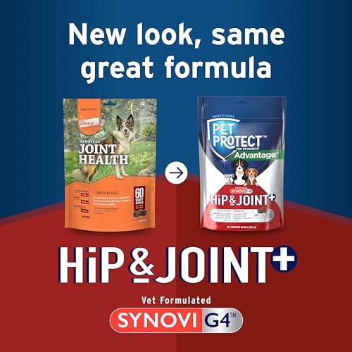 Synovi G4 Joint Chews for Dogs, 240 Count