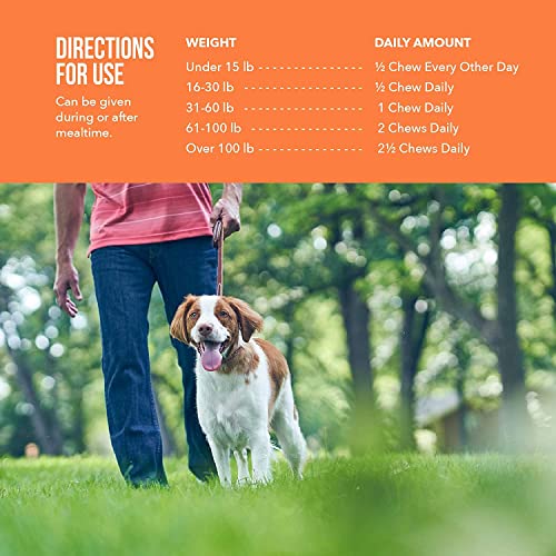 Synovi G4 Joint Chews for Dogs, 240 Count