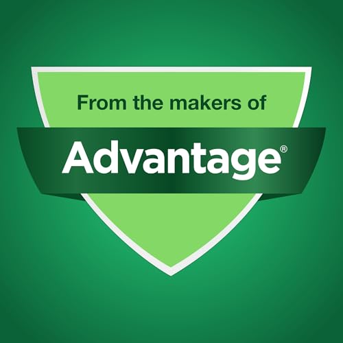 Synovi G4 Joint Chews for Dogs, 240 Count