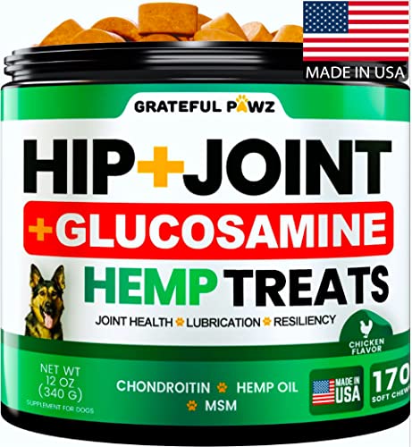 Advanced Hemp Joint Supplement for Dogs - Mobility Support