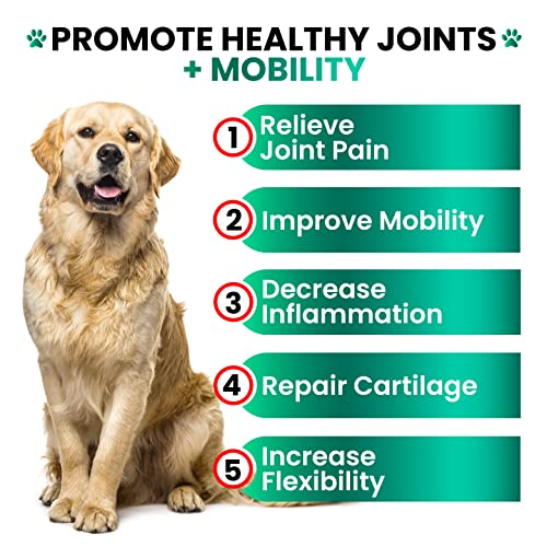 Advanced Hemp Joint Supplement for Dogs - Mobility Support