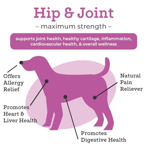 VetPro Dog Hip and Joint Relief Chews