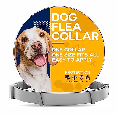 Adjustable Flea and Tick Prevention Collar for All Dogs