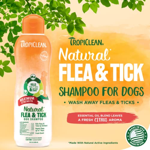 TropiClean Natural Flea & Tick Shampoo for Dogs