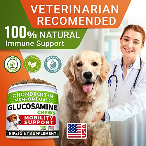 USA Made Chicken Flavor Glucosamine Joint Treats for Dogs