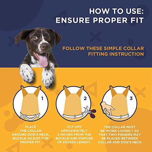 Adjustable Flea and Tick Prevention Collar for All Dogs