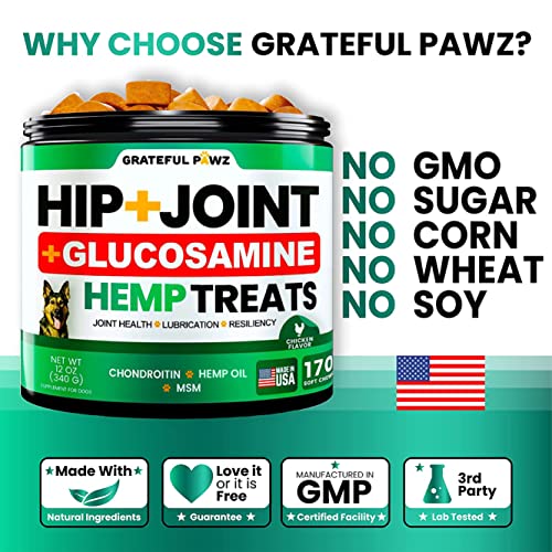 Advanced Hemp Joint Supplement for Dogs - Mobility Support