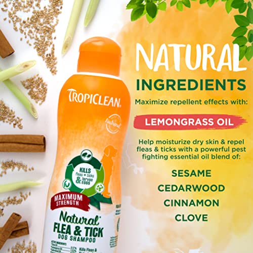 TropiClean Natural Flea & Tick Shampoo for Dogs