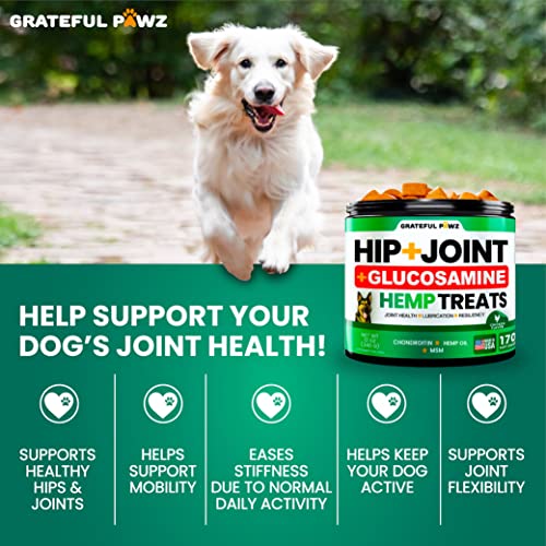 Advanced Hemp Joint Supplement for Dogs - Mobility Support