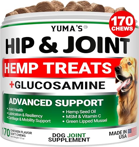 YUMA'S Hemp Hip and Joint Chews for Dogs