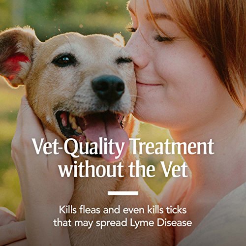 PetArmor Flea and Tick Treatment for Large Dogs