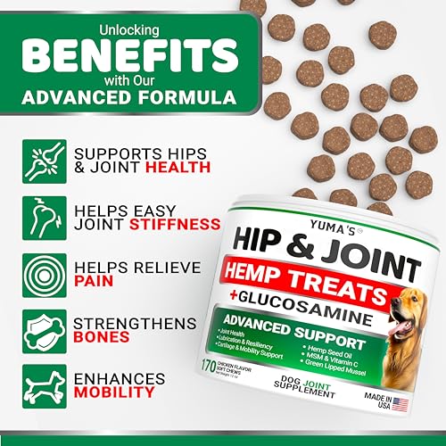 YUMA'S Hemp Hip and Joint Chews for Dogs