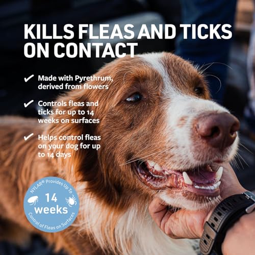 Dog Flea & Tick Spray Kills & Prevents for 14 Weeks