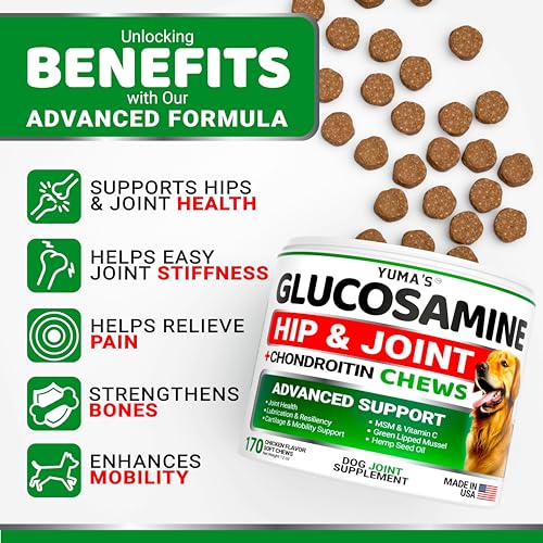 Dog Joint Health Supplement - 170 Chews - Mobility