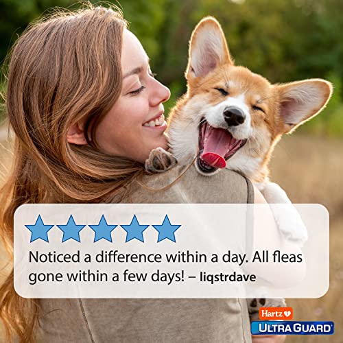 Hartz UltraGuard Dog Spray: Kills Fleas & Ticks