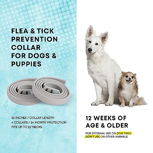 24 Month Protection Dog Flea Tick Prevention Collar Pack