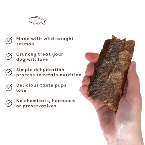 Pupford Salmon Jerky Treats for Dogs | USA Made