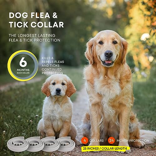 24 Month Protection Dog Flea Tick Prevention Collar Pack