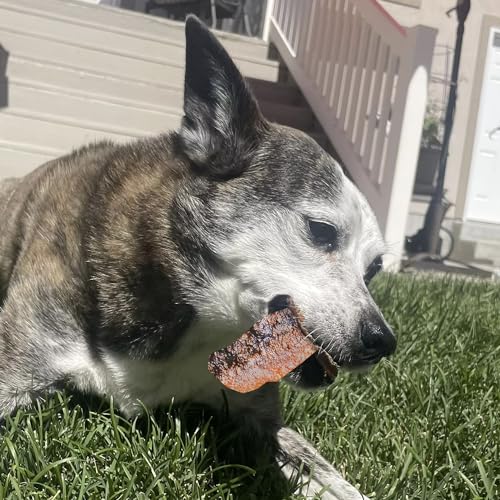 Pupford Salmon Jerky Treats for Dogs | USA Made