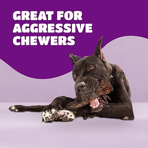 Aggressive Chewers Dog Bones: Beef Shin, for Large/Medium