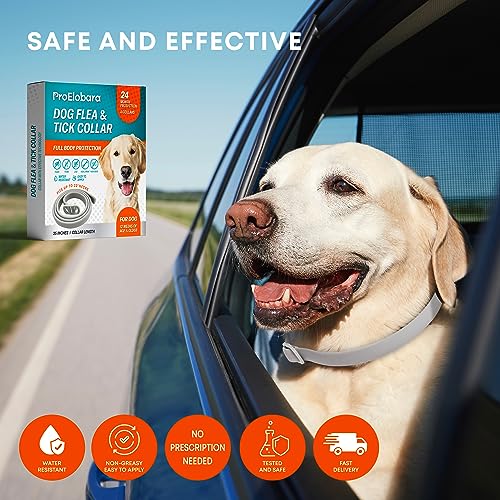 24 Month Protection Dog Flea Tick Prevention Collar Pack
