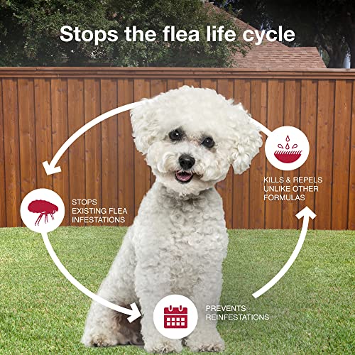 K9 Advantix II Small Dog Flea & Tick Prevention