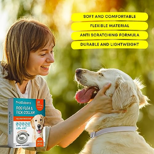 24 Month Protection Dog Flea Tick Prevention Collar Pack