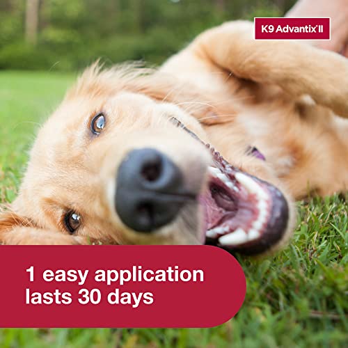 Vet-Recommended K9 Advantix II for Large Dogs