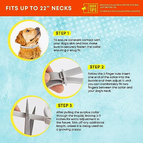 24 Month Protection Dog Flea Tick Prevention Collar Pack