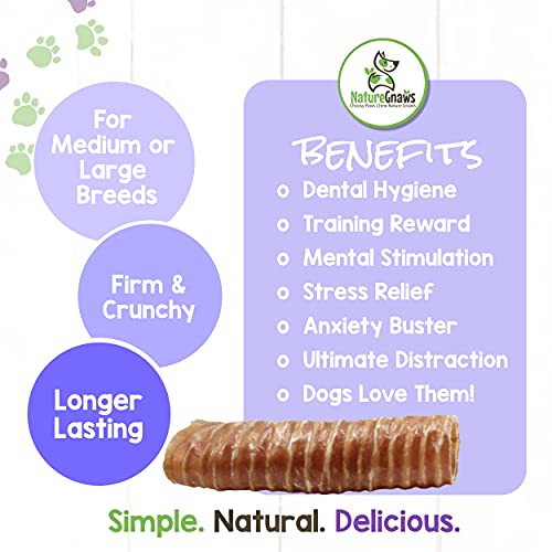 Premium Natural Beef Trachea Wraps - Long Lasting Chew