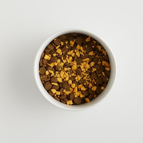 USA-made Grain-Free Freeze Dried Cheese Dog Treats