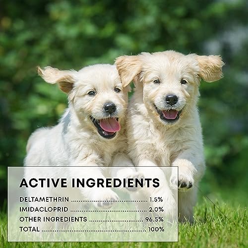 24 Month Protection Dog Flea Tick Prevention Collar Pack