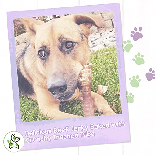 Premium Natural Beef Trachea Wraps - Long Lasting Chew