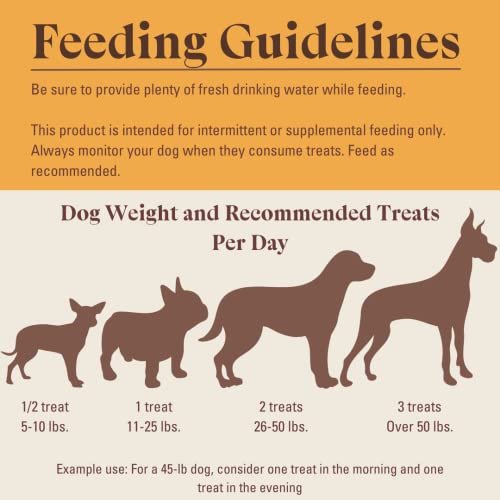 Wild Things Venison Jerky Dog Treats | Protein-Packed