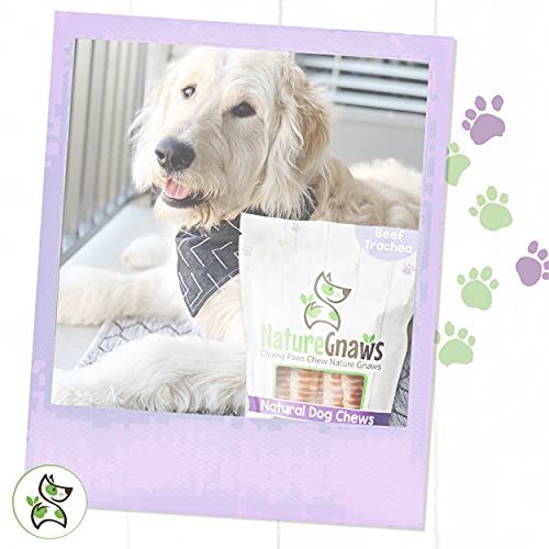 Premium Natural Beef Trachea Wraps - Long Lasting Chew